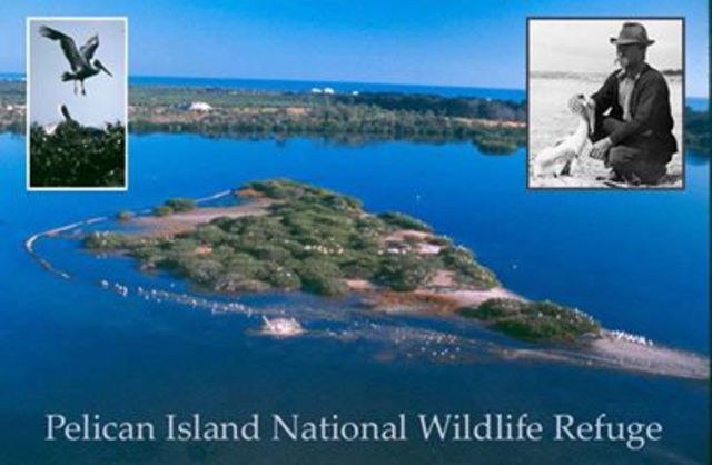 Pelican Island, Florida  refuge