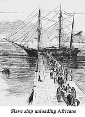 Dutch bring Africans