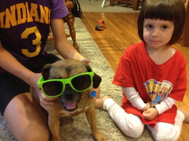 Nosotoros compramos nuestros perro, Daisy