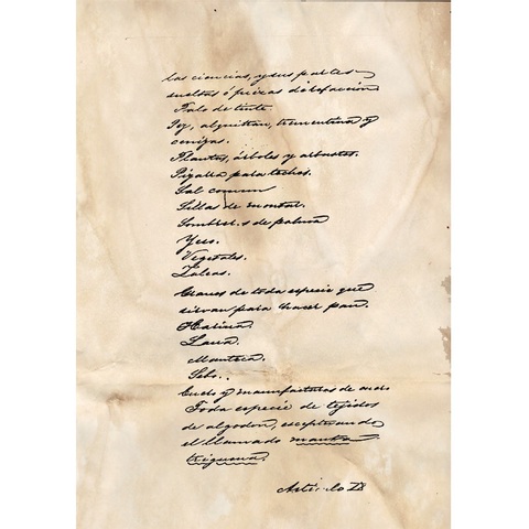 Firma tratado Mclane-Ocampo