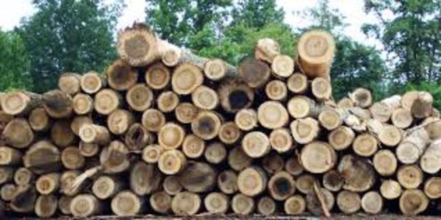 expansion of industry