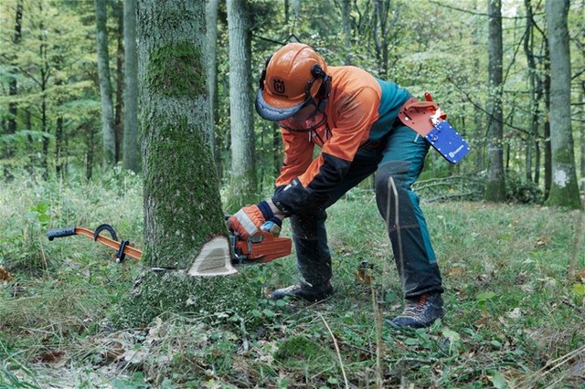 El caucho comienza a ser explotado en Colombia