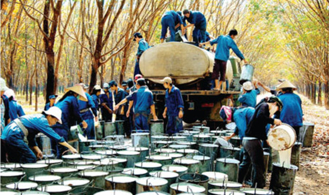 Producción de caucho en 1999