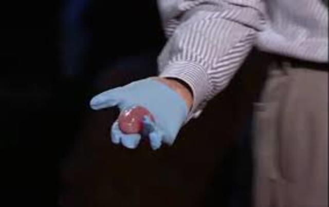 Esimene prinditud neer