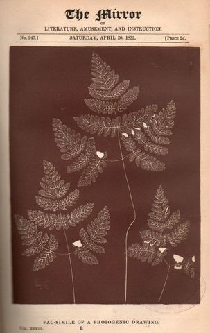 First published Photograph