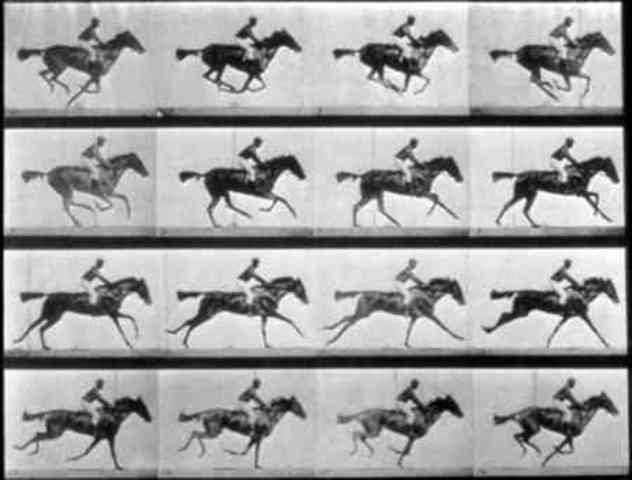 The Running Horse by Eadward Muybridge