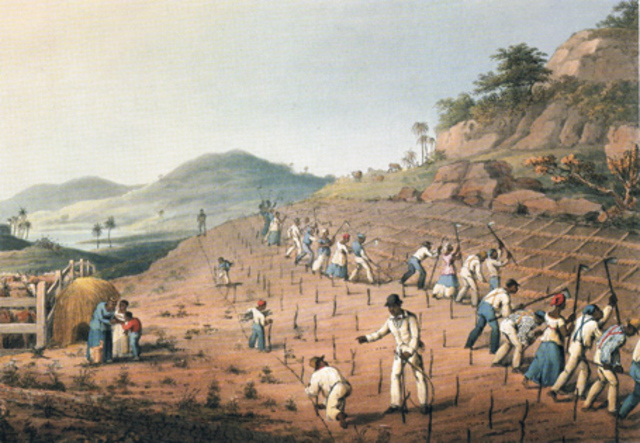 Dansk Vestiinden bliver etableret i 1666