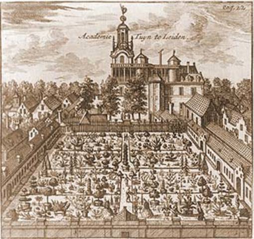Rembrandt gaat naar de universiteit van Leiden