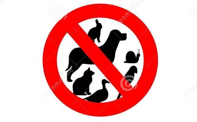 Eliminar los animales de los hospitales