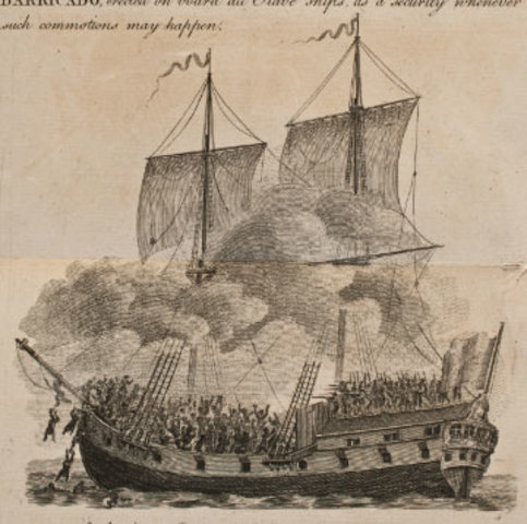 There is an Insurrection on the Sally