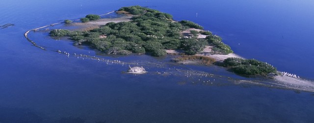 Pelican Island Fisrt National Wildlife Refuge