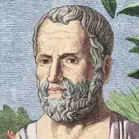 Theophrastus
