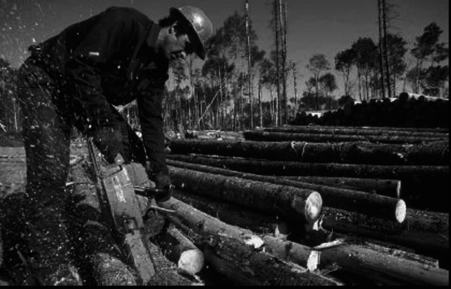 Blockade by Napoleon