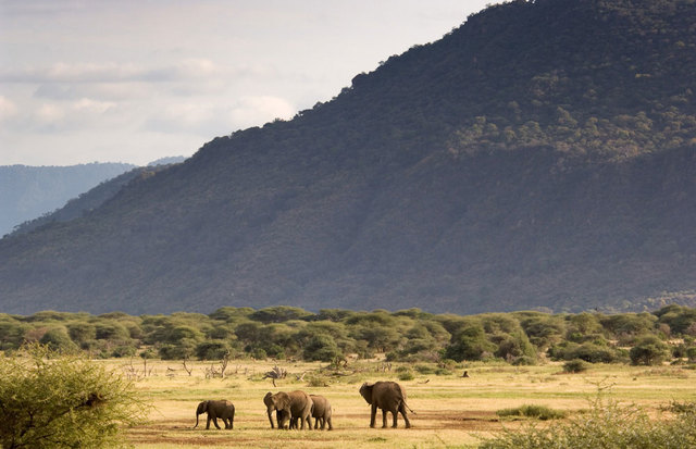 Day 5- Safari to Lake Manyara