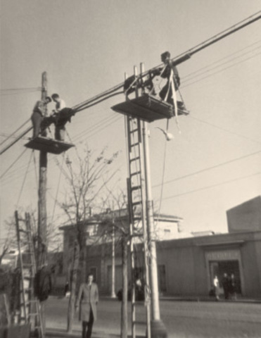 SE ESTABLECE UNA NUEVA REGLAMENTACION PARA LA PROTECCION