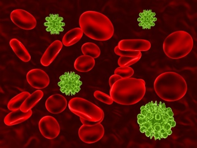 Discovery and Naming of the Cell
