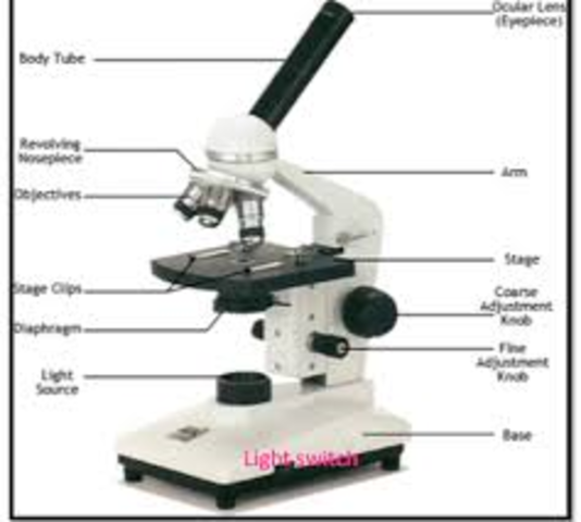 light microscope