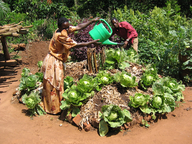 The Demonstration Garden
