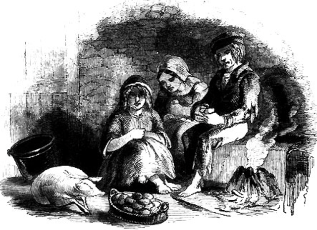 Potato Famine