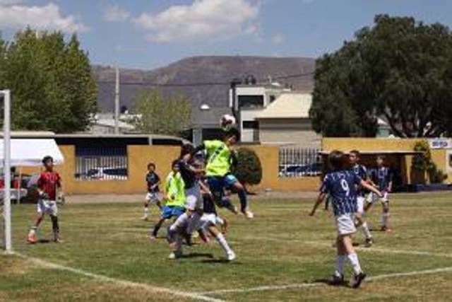 Play my first asomex tournament