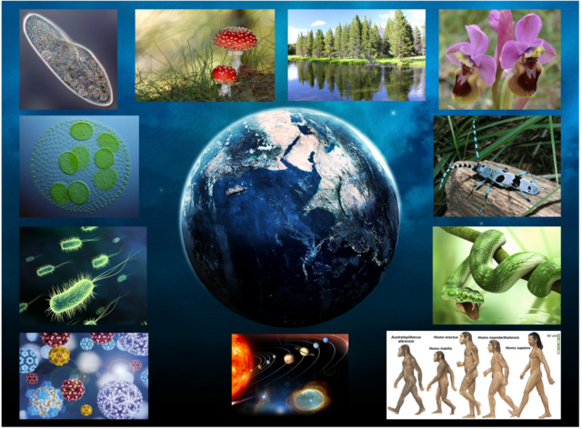 Desarrollo de las ciencias naturales