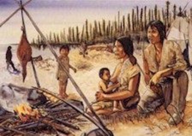 Iroquois and Algonquins