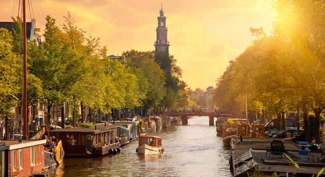 Thi vào Khoa Thần kinh học ở Amsterdam