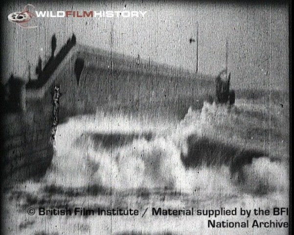 first natural history orientated film