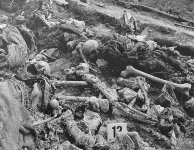 Serbian Army expelled