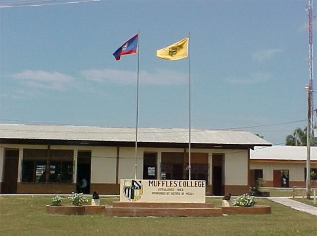 Primer dia de Clases en Muffles College High School