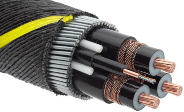 Cable submarino de fibras ópticas