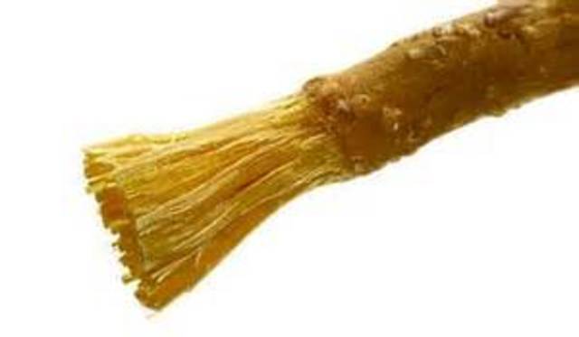 First Form of Toothbrush Invented in 3000 BC