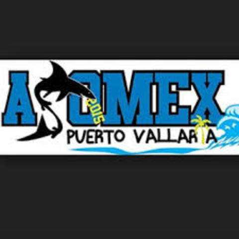 Asomex of Puerto Vallarts
