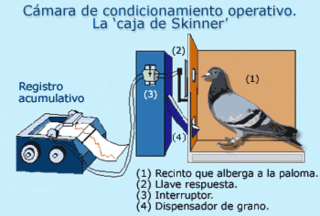 Definición Condicionamiento Operante