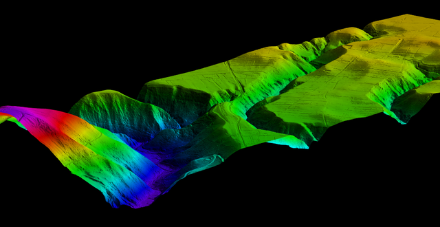 Reconocimiento cámara colombiana de Bogotá