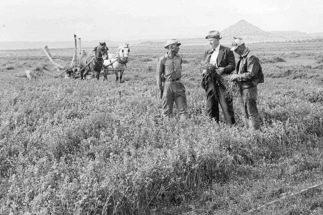 Small Farmers vs Settlers during Westward Expansion