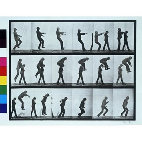 Muybridge Sequential Movements