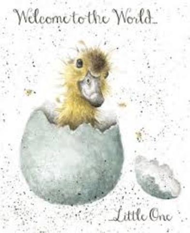 This day i came to the world