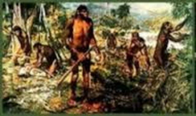 Paleolítico Inferior  2.500.000 a.C. – 127.000 a.C.)