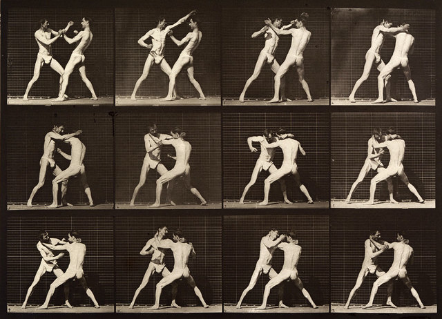 Sequential Photographs taken by Muybridge