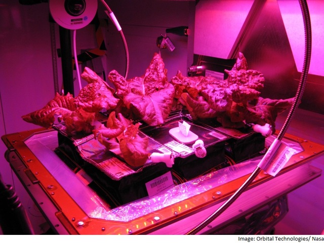 First food eaten that was grown in space