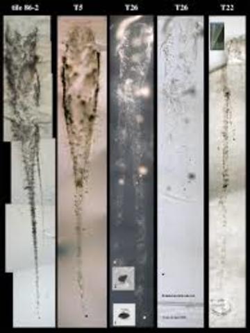 First sample return from comet