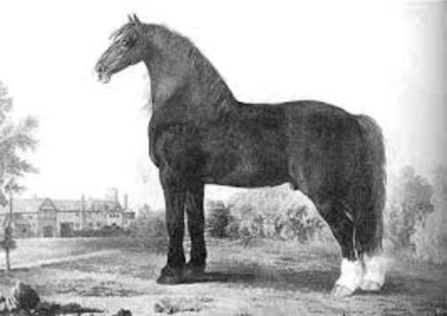 Innovación en la producción de carne en ganado vacuno y caballar