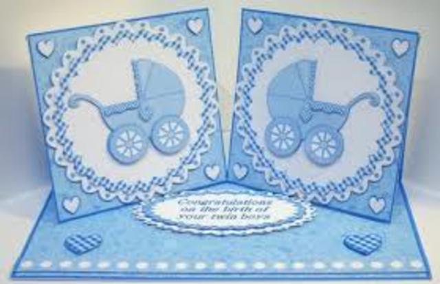 Brothers were Brought to America