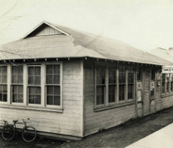 Phoenix Junior College Opens