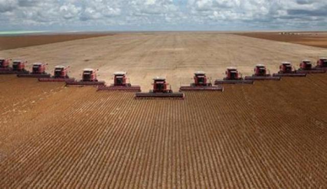 Revolución Verde 1950