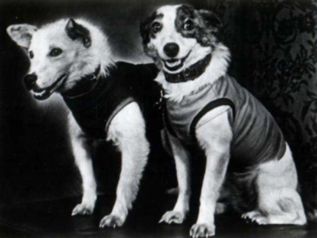 Sputnik 5 was Launched