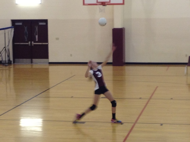 Volleyball
