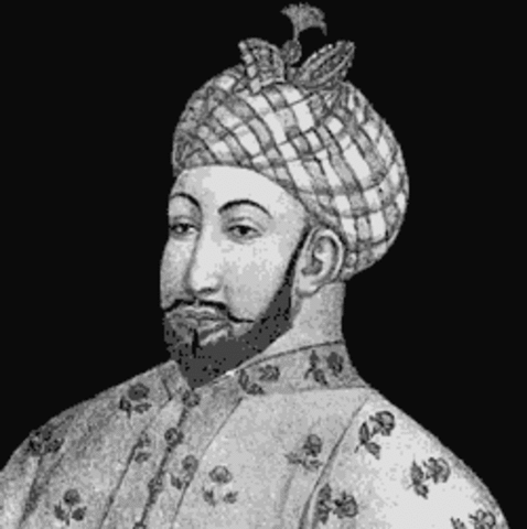 The Sultanate of Delhi