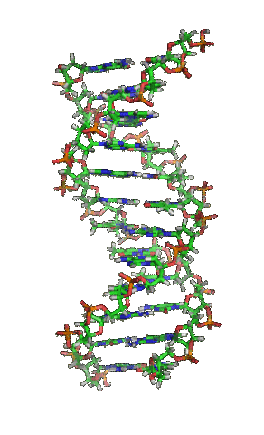 Desarrollo de la genetica y descubrimiento del AND